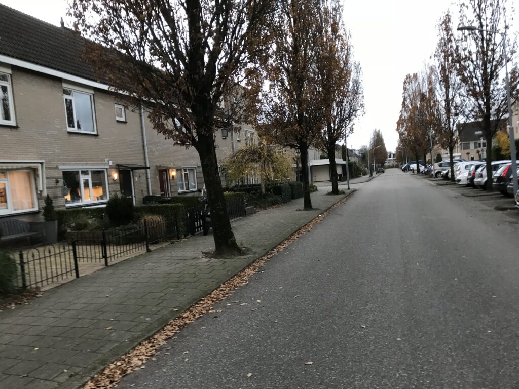 Stukadoor Badhoevedorp